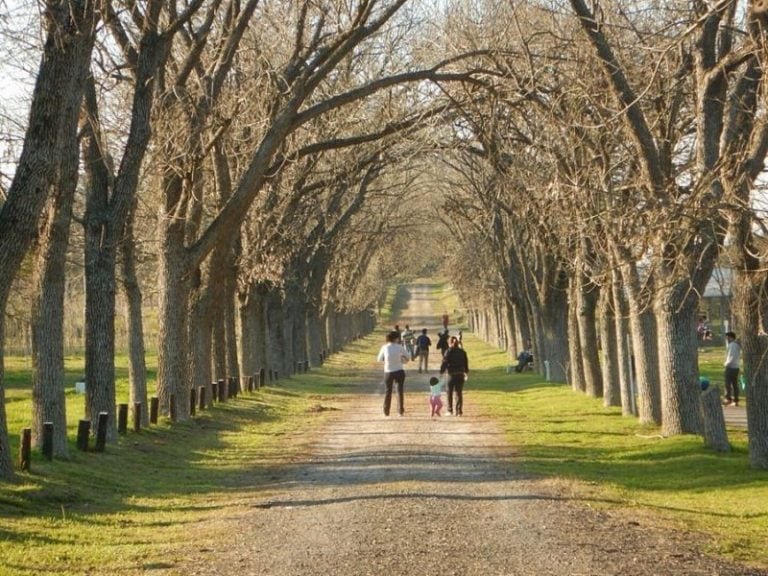 Domingo de feria en el Parque Botánico de Paraná