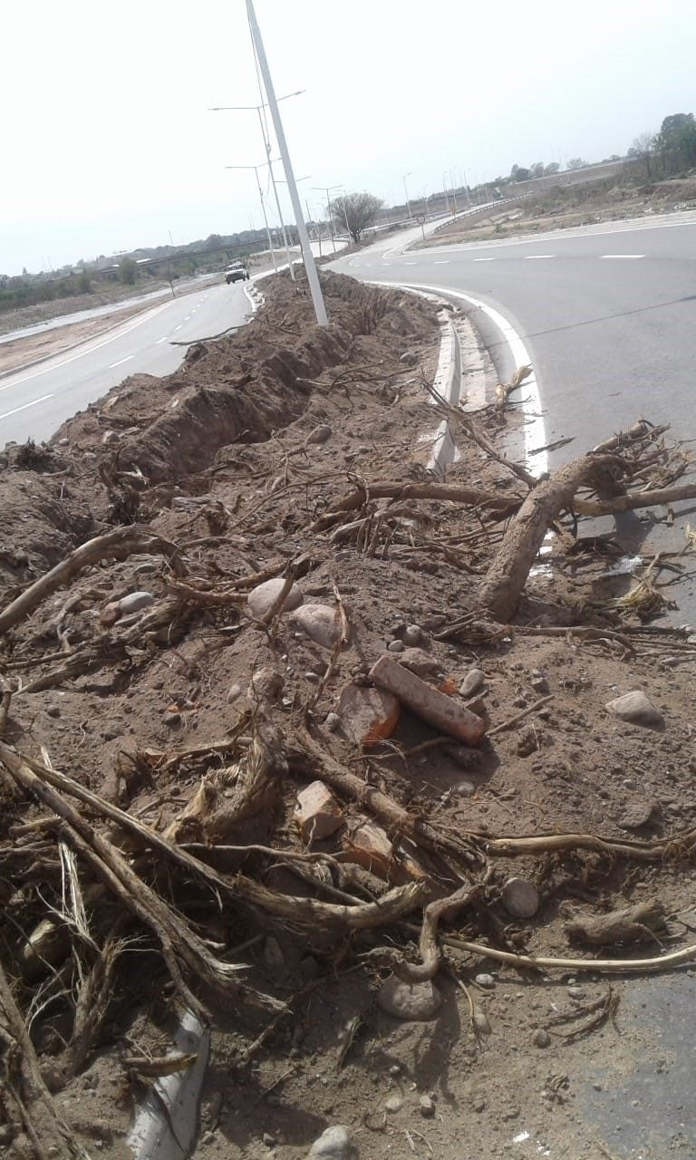 Las tipas que denuncia la Municipalidad fueron extraídas en la obra del Anillo de la Circunvalación.