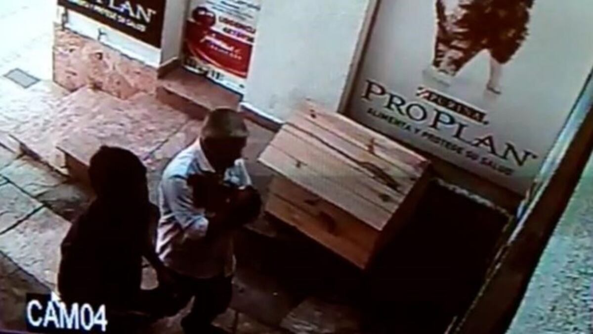 "Perro cómplice": insólito robo en una veterinaria de barrio Observatorio