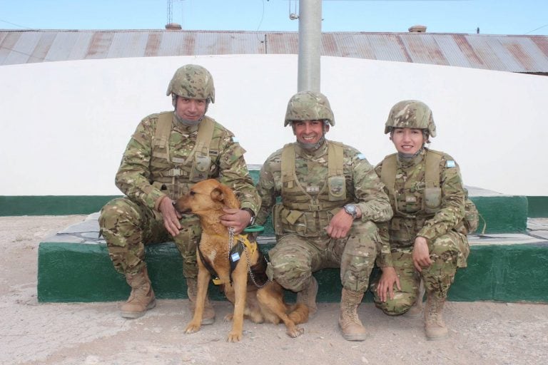 Cabo, el perro montañés. (Ejército Argentino)