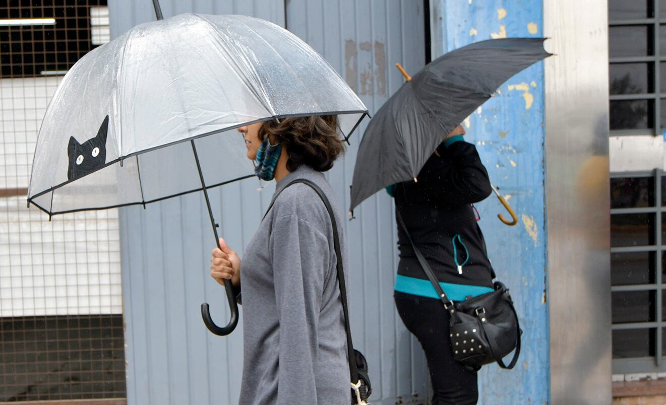 Las tormentas en Mendoza dejaron daños en varios puntos de la provincia. 