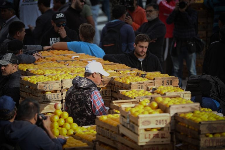 Los productores buscan visibilizar la crisis que atraviesa el sector. (EFE/Juan Ignacio Roncoroni)