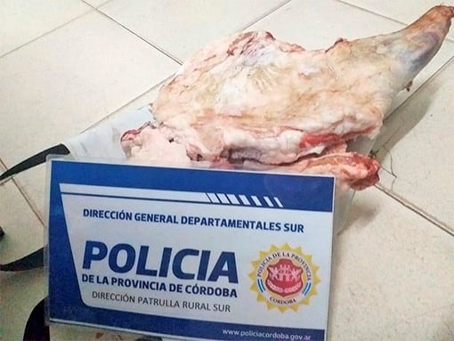 El robo ocurrió en un campo en General Cabrera y el cuidador se llevó animales valiosos. (Unidad Departamental Río Cuarto)