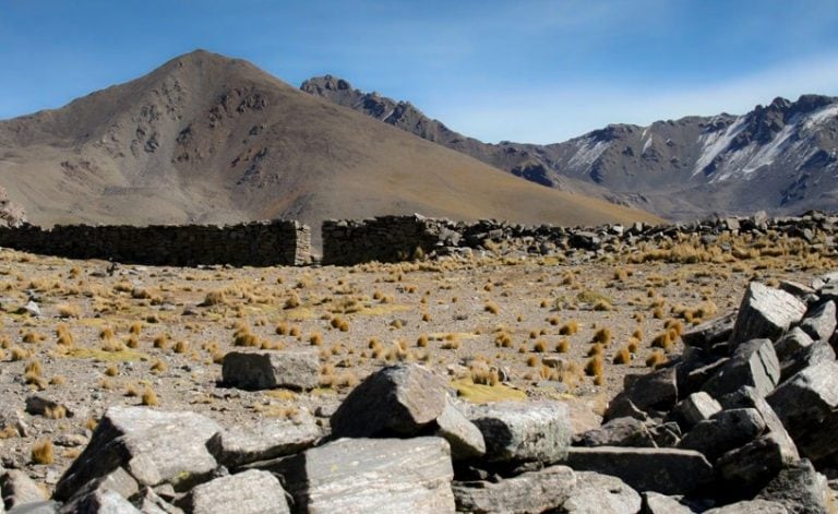 Parque Nacional Campo de los Alisos. Tucumán. (Web).