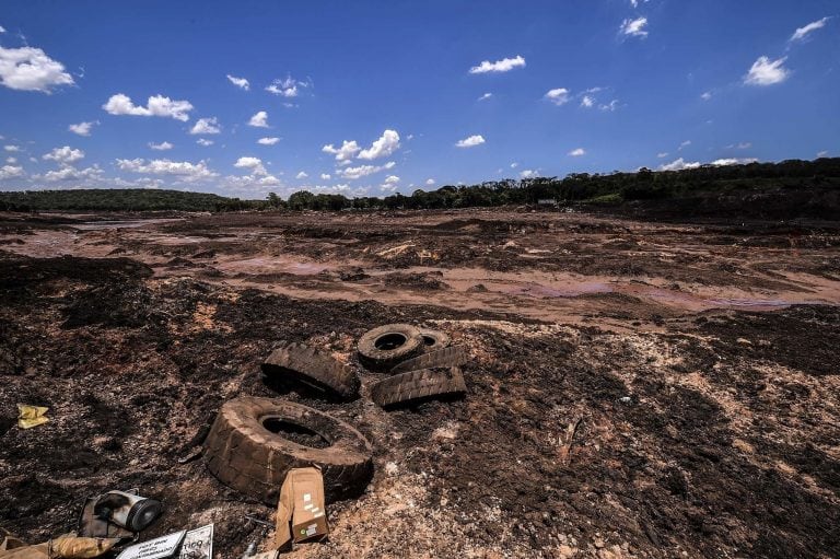 La avalancha de lodo destruyó al menos 125 hectáreas de bosques. (EFE)