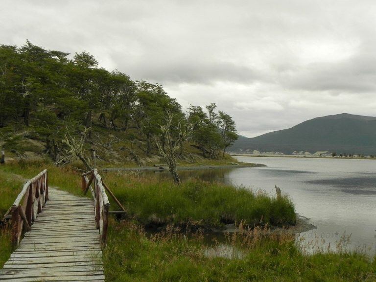 Laguna Negra (web)