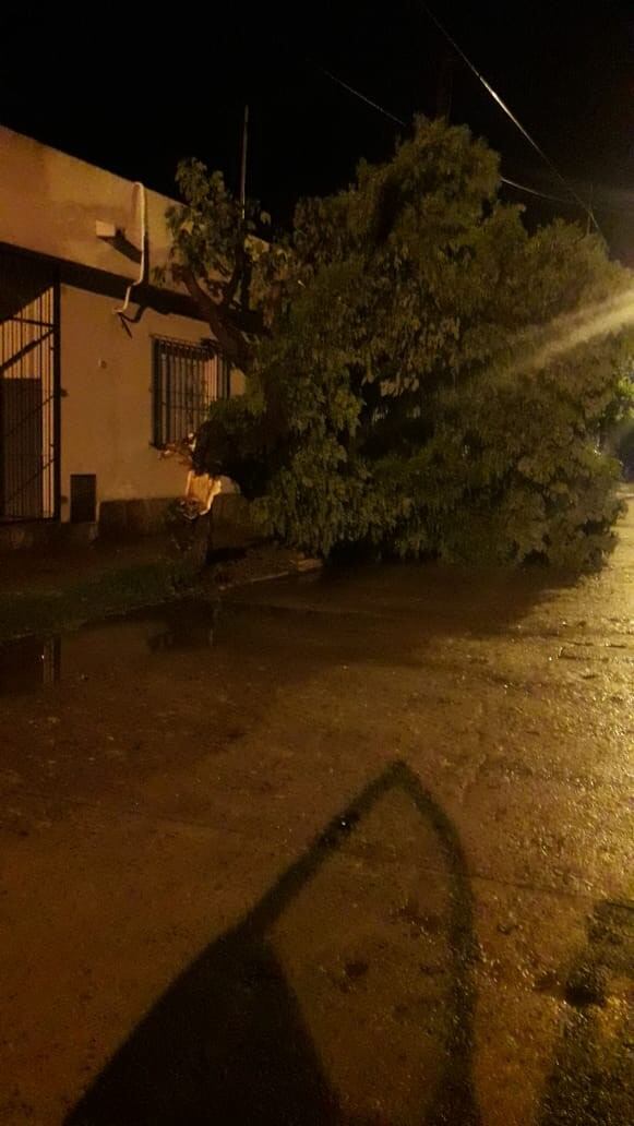 Destrozos por la tormenta