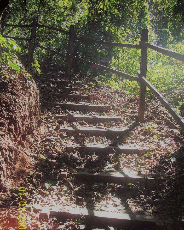 Los senderos del Parque Nacional Calilegua son un verdadero disfrute en la naturaleza.