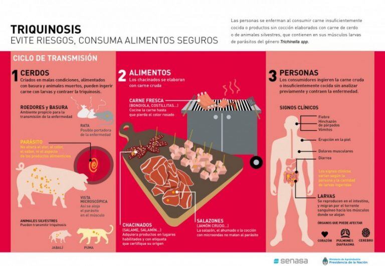 Triquinosis, el peligro de los carneos caseros.