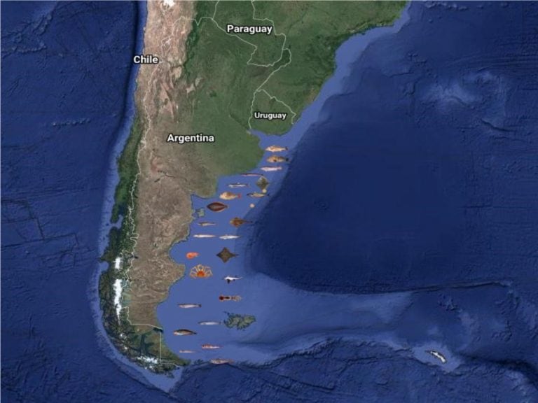 Distribución de especies en el litoral marítimo