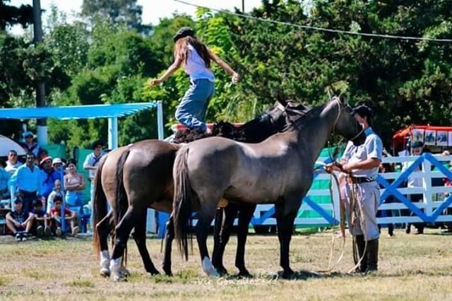 Victoria Rovetto, con 12 años, es amansadora de caballos en General Cabrera, Córdoba, y su técnica es furor en cada encuentro de animales de este tipo en el interior.