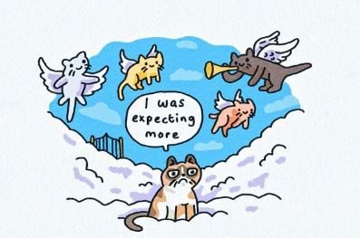 "Esperaba más", dice una caricatura de Grumpy Cat que lo muestra en el cielo de los gatos. (Twitter: @RealGrumpyCat)