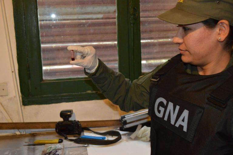 Gendarmería detectó que había 250 atados de cigarrillos extranjeros. (@minseg)