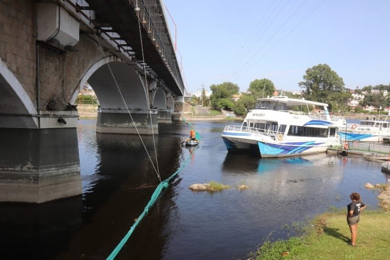 Limpieza de costas y aguas