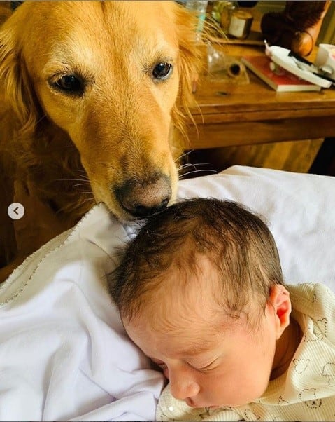 Simba, el perro de Luli Fernández junto a su bebé, Indalecio