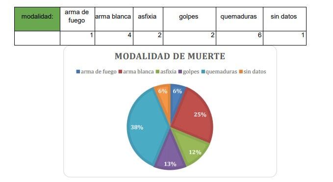 Relevamiento realizado por el Observatorio de la Violencia Contra las Mujeres.