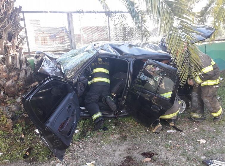 Un auto se estrelló contra una palmera en Benal, Quilmes (Web)