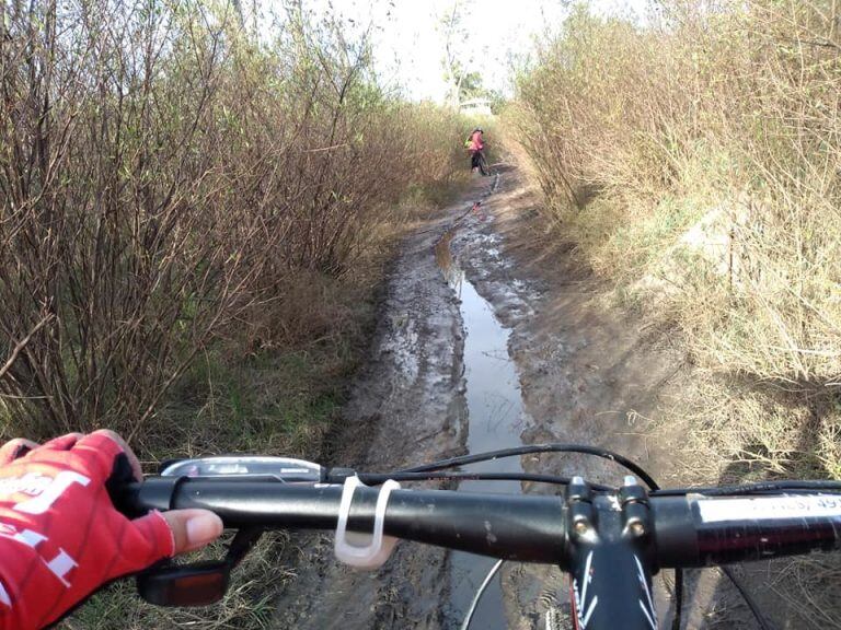 Pedaleando