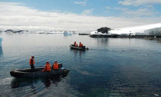 Bahía Fildes.
Fotos: prensa antártica.
Créditos: Revista Science Report Nature.