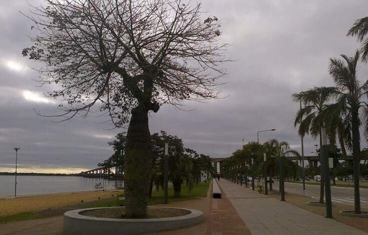 Costanera Sur de la capital correntina.