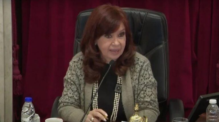 El cruce entre Martín Lousteau y Cristina Kirchner en el Senado: "No me tutee"