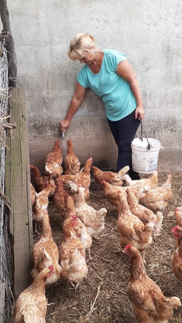 Cuarentena en el campo