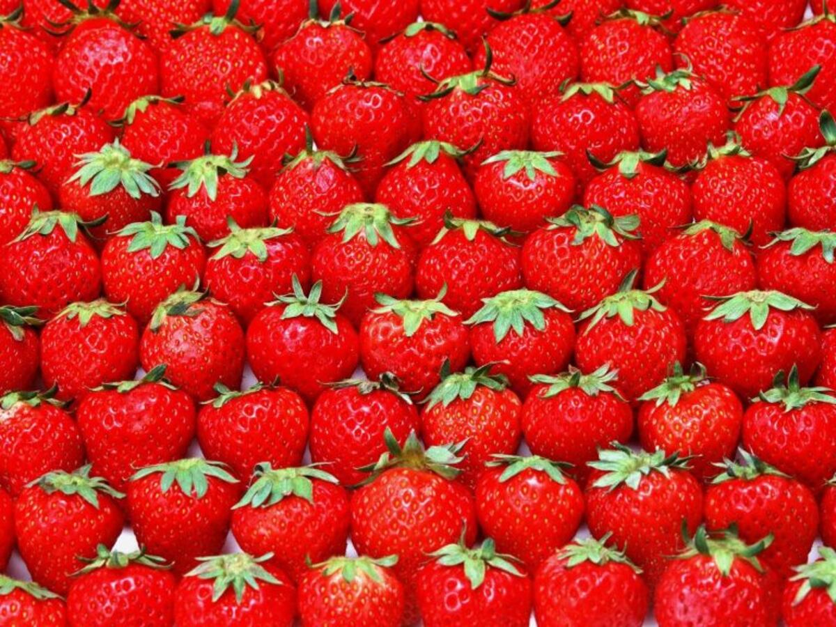 El nuevo reto visual que se volvió viral: ¿dónde se esconde la frutilla en el espacio?