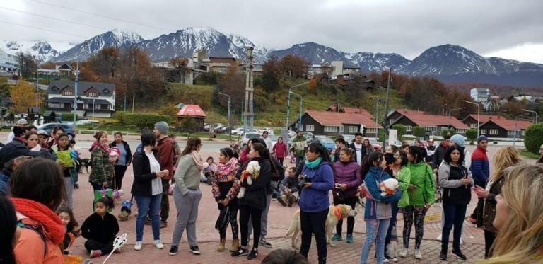 Caninata Solidaria - Ushuaia