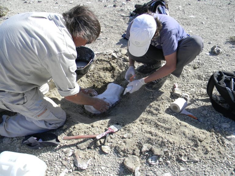 Además, tendrá lugar una muestra de paleoarte.