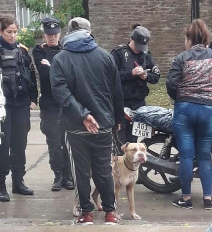 interceptaron a una pareja que arrastraba un perro con su moto. (Aire de Santa Fe)