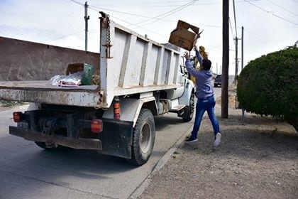 Intendente gonzalez participando de la recolección de poda