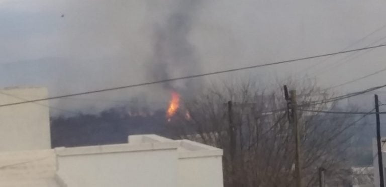 La Calera: las llamas se intensifican por la acción del viento.