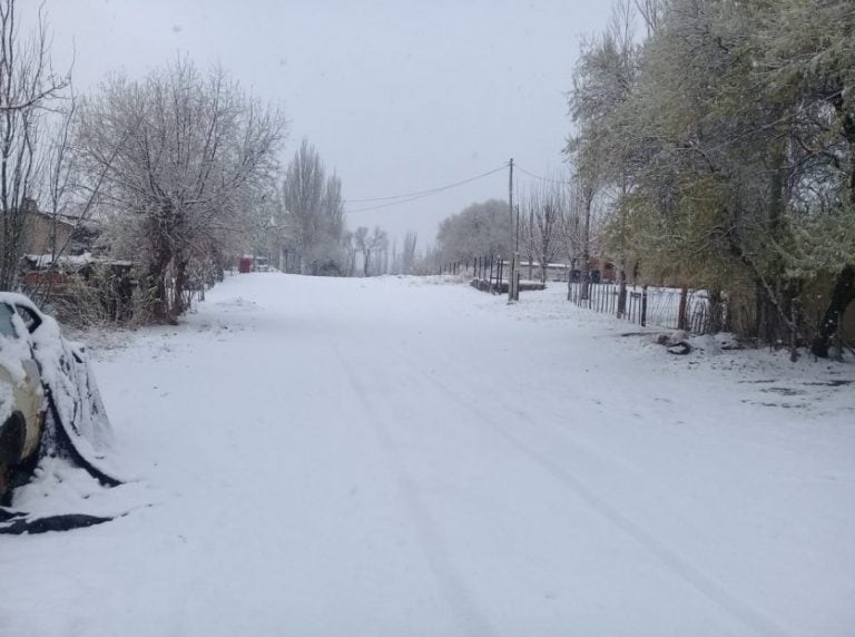 Así quedó el Manzano Histórico tras la nevada.