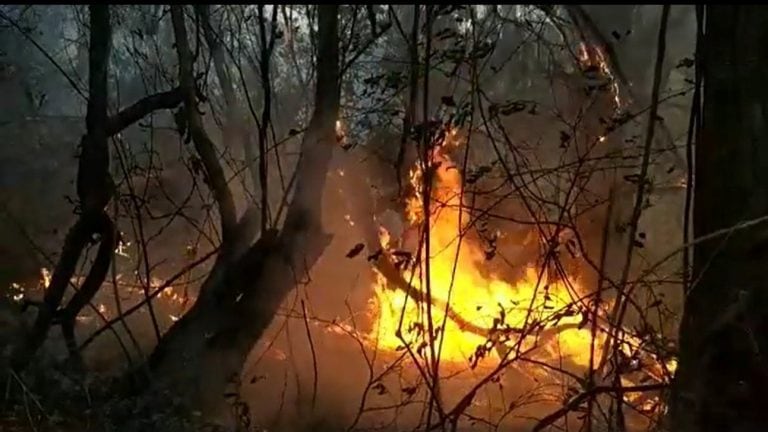 Incendios forestales en Jujuy