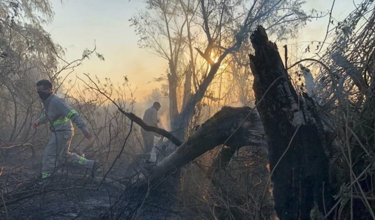 Voluntarios cruzaron otra vez desde San Lorenzo por los incendios en las islas