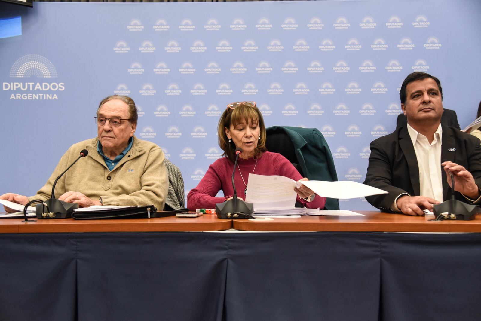 Los diputados Carlos Heller y Alicia Aparicio, presidentes de las comisiones de Presupuesto y Finanzas (Foto: HCDN)