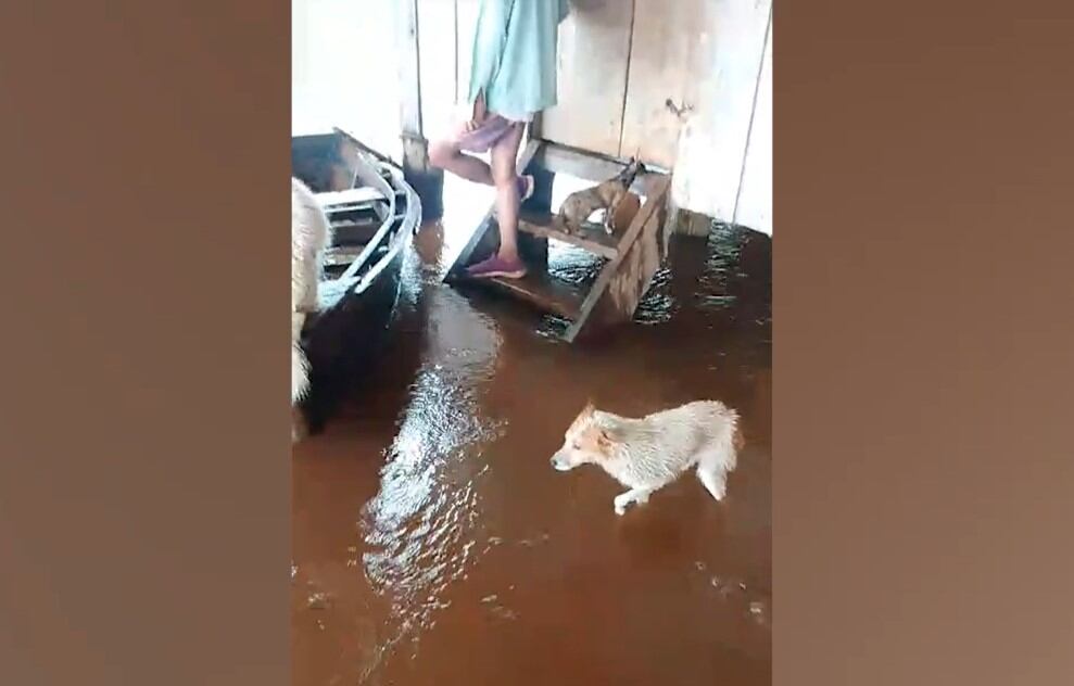 La crecida del río Paraná dejó bajo agua parte de una aldea guaraní en Puerto Leoni.