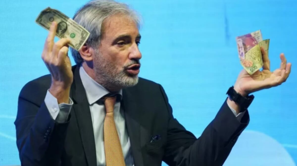 Qué definiciones dio uno de los integrantes del equipo económico de Milei sobre el plan de dolarizar