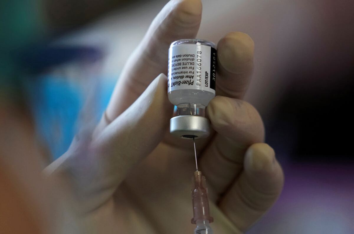 Coronavirus: el Gobierno confirmó que las primeras dosis de Pfizer llegarán en septiembre