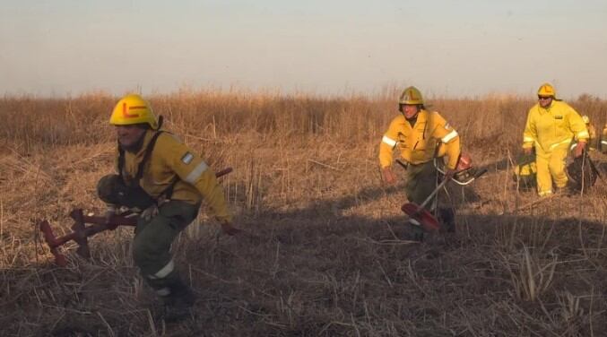 La Brigada Forestal, cuarteles de bomberos voluntarios de la zona y de la Policía, agentes municipales y otros organismos trabajan en las zonas afectadas.