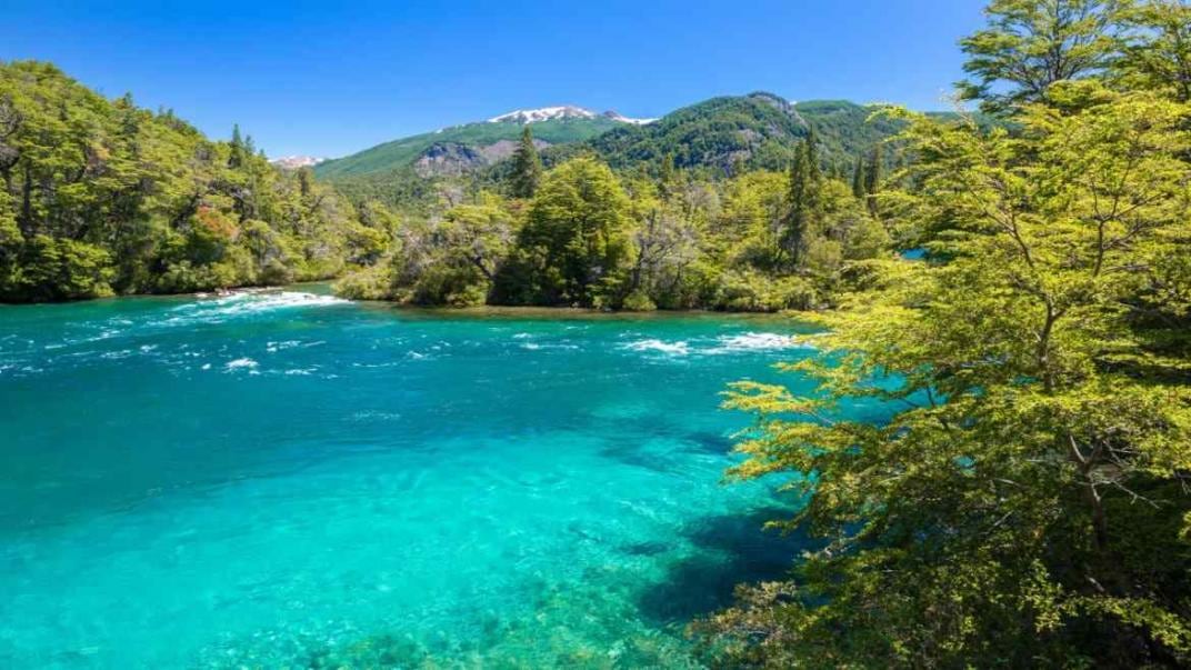 El Parque Nacional Los Alerces fue el último sitio argentino en integrarse a la lista de la Unesco. (123RF)