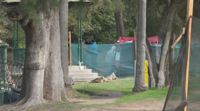 La Policía Científica trabajando en el lugar del hallazgo.