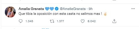 Amalia Granata dijo que el atentado a Cristina Kirchner fue una "pantomima".