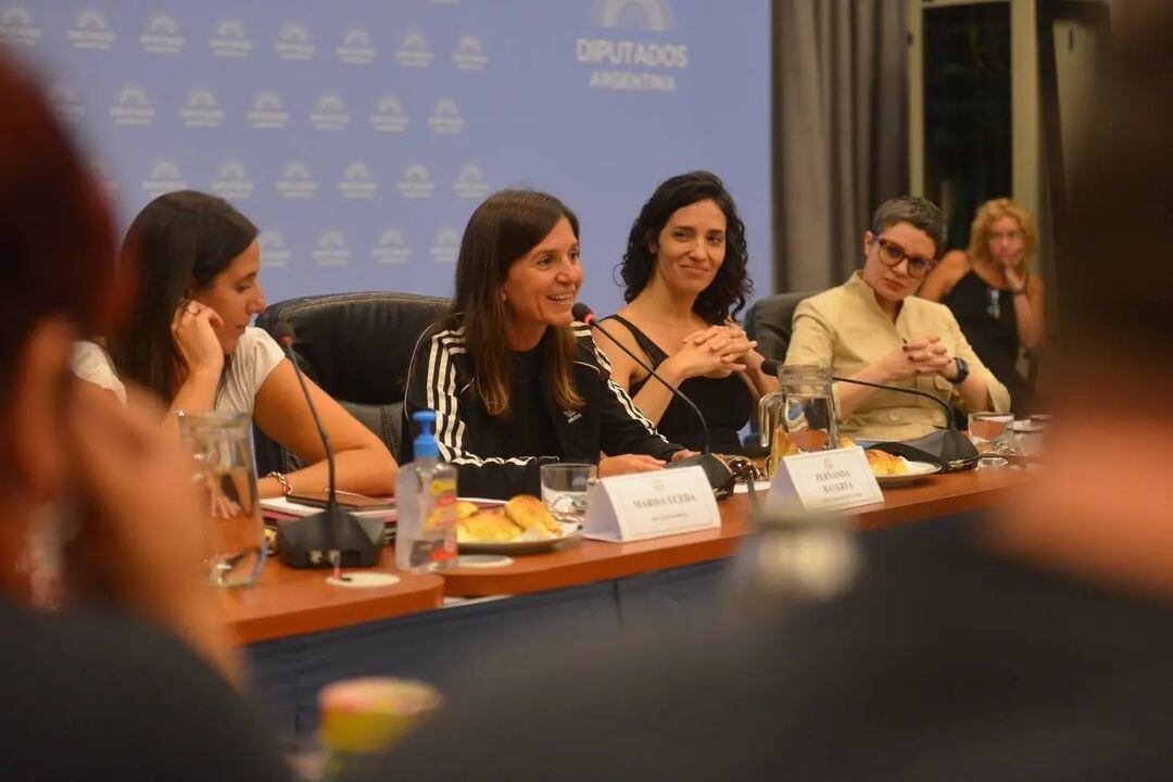 Fernanda Raverta en la audiencia pública.