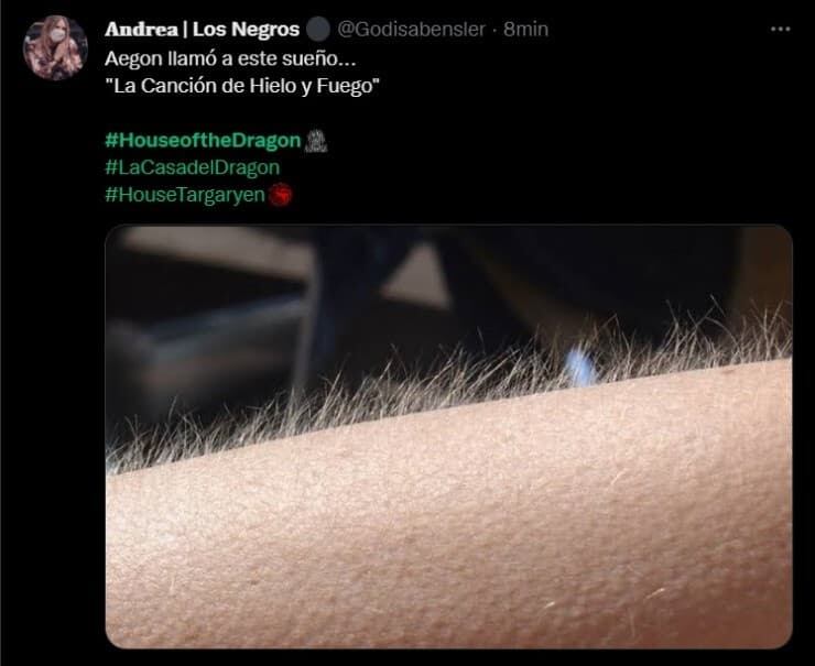 Meme de Twitter "House of the dragon".