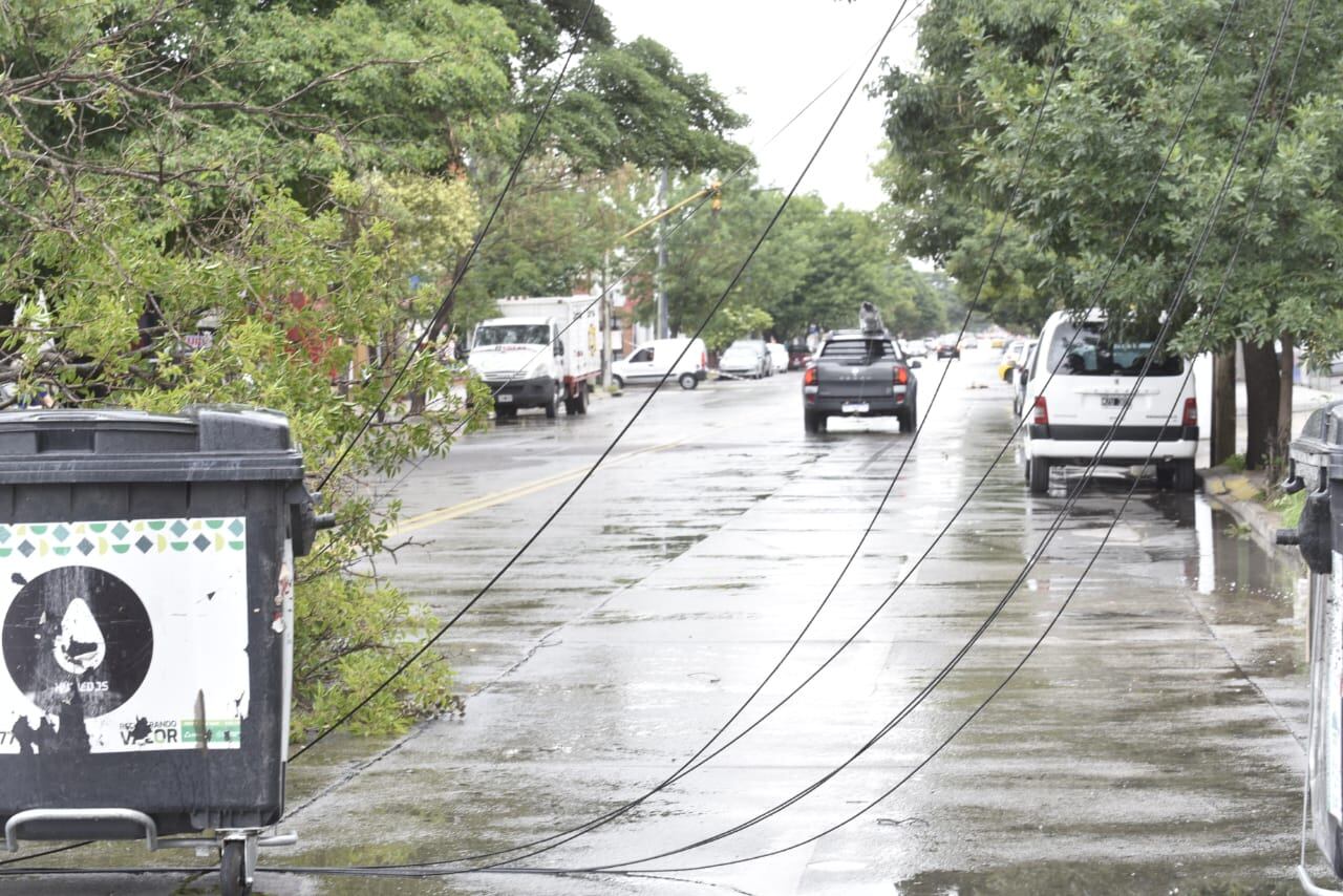 La caída de árboles produjo cortes en el tendido eléctrico.