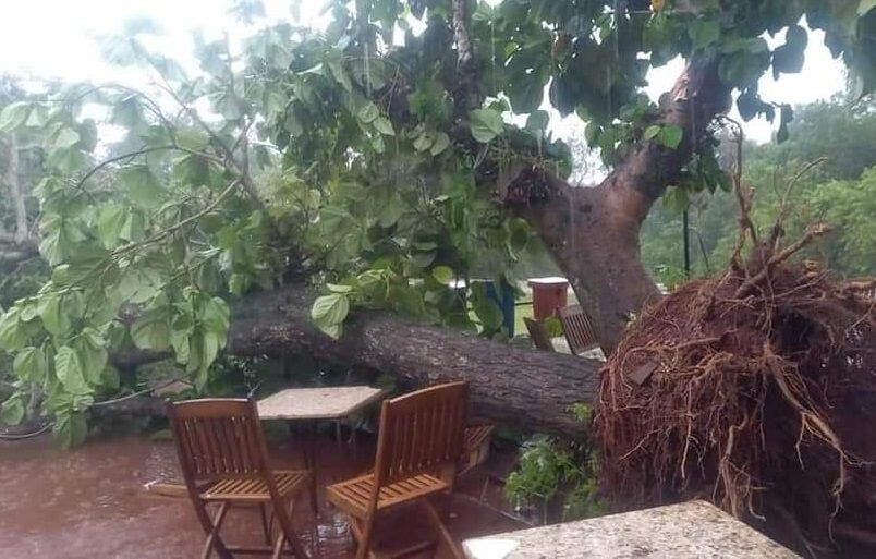 Puerto Iguazú: a causa del temporal tuvieron que evacuar el paseo Garganta del Diablo.