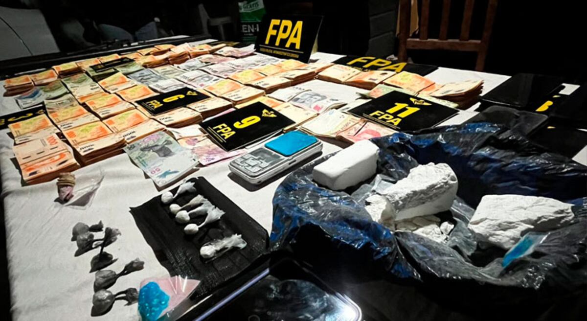 Impactante cantidad de cocaína en Punilla: la FPA incautó más de 1000 dosis en un operativo