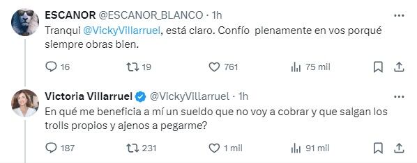 Villarruel cargó contra los "trolls".