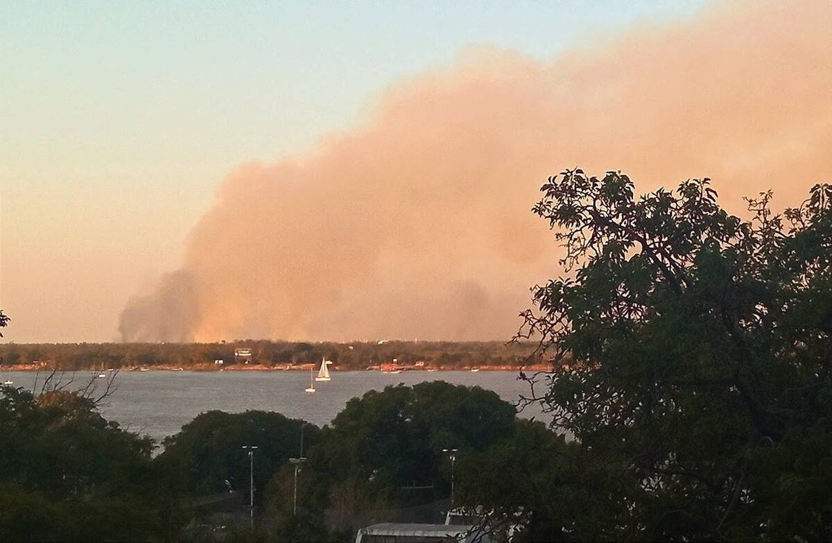 Aumentan los incendios en el Delta y las organizaciones reclaman que se sancione la Ley de Humedales